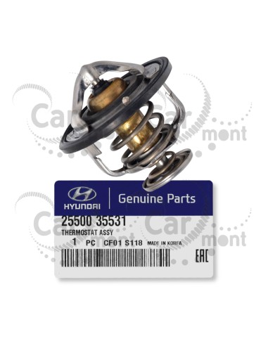 Termostat 64mm/82 st.C - Pajero 3.0 3.5 3.8 Galloper 3.0 - 25500-35531 1305A191