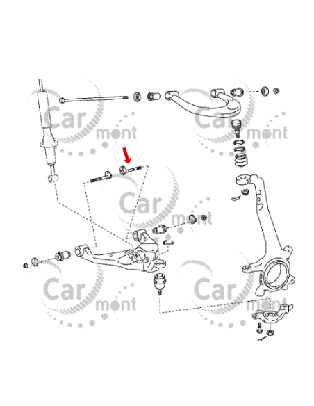 Śruba zbieżności przód dolny wahacz - tylna - Toyota Hilux Land Cruiser - 48190-60020 48190-0K030