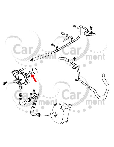 Oring pompy vacuum - Mitsubishi L200 2.5 DID KB4 Pajero Sport KH4 - 2020A009 - Oryginał Mitsubishi