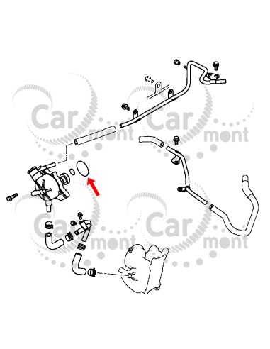 Oring pompy vacuum - Mitsubishi L200 2.5DID KB4 Pajero Sport KH4 - 2020A008 - Oryginał Mitsubishi