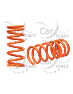 Sprężyny tylnego zawieszenia (para) Mitsubishi Montero Pajero III IV - MR554087 MN125358