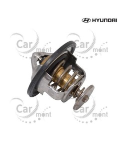 Termostat 64mm/82 st.C - Pajero 3.0 3.5 3.8 Galloper 3.0 - 25500-35531 1305A191 2