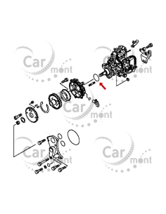 Oring pompy wtryskowej / wspomagania D55 do Mitsubishi Pajero 2.8TD 3.2DID - MF520407 - Oryginał Mitsubishi 2