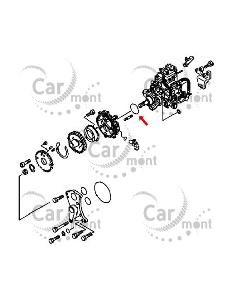 Oring pompy wtryskowej / wspomagania D55 do Mitsubishi Pajero 2.8TD 3.2DID - MF520407 - Oryginał Mitsubishi