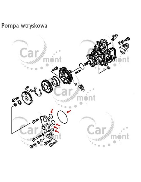 Komplet uszczelek / oringów pompy wtryskowej wpomagania vacuum - Pajero III 3.2DID - Oryginał Mitsubishi
