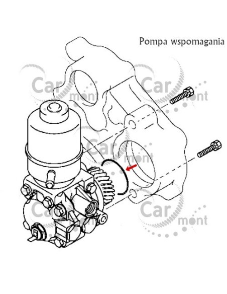 Komplet uszczelek / oringów pompy wtryskowej wpomagania vacuum - Pajero III 3.2DID - Oryginał Mitsubishi